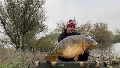 Maximilian Lange fängt einen 25,6 Kilo schweren Karpfen in der Elbe auf Dickenmittel Boilies