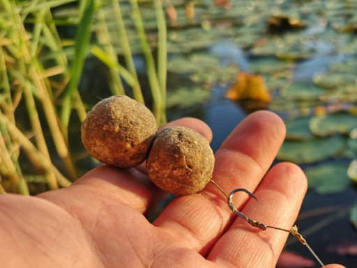Chris Ackermann angelt erfolgreich am Mary-und-Joe-Pool mit Doppelboilies von Naturebaits