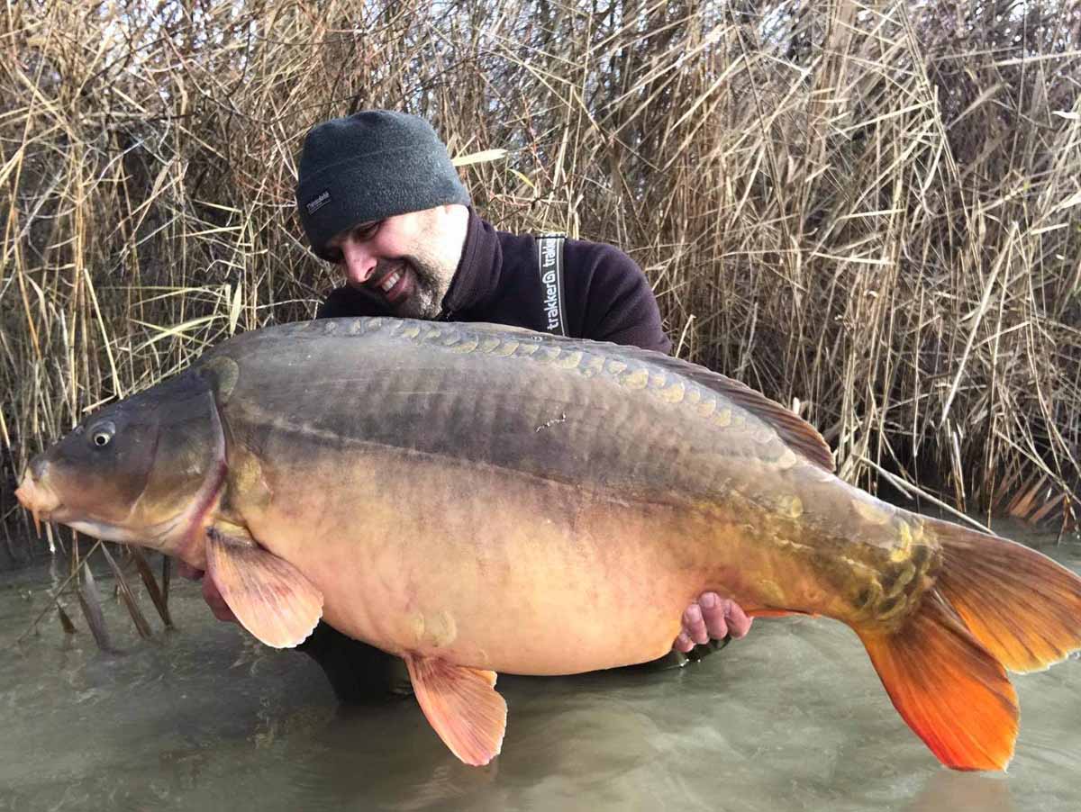 Andreas Büttner mit dickem Winterkarpfen - gefangen auf P-Mix Boilies kurz vor Weihnachten