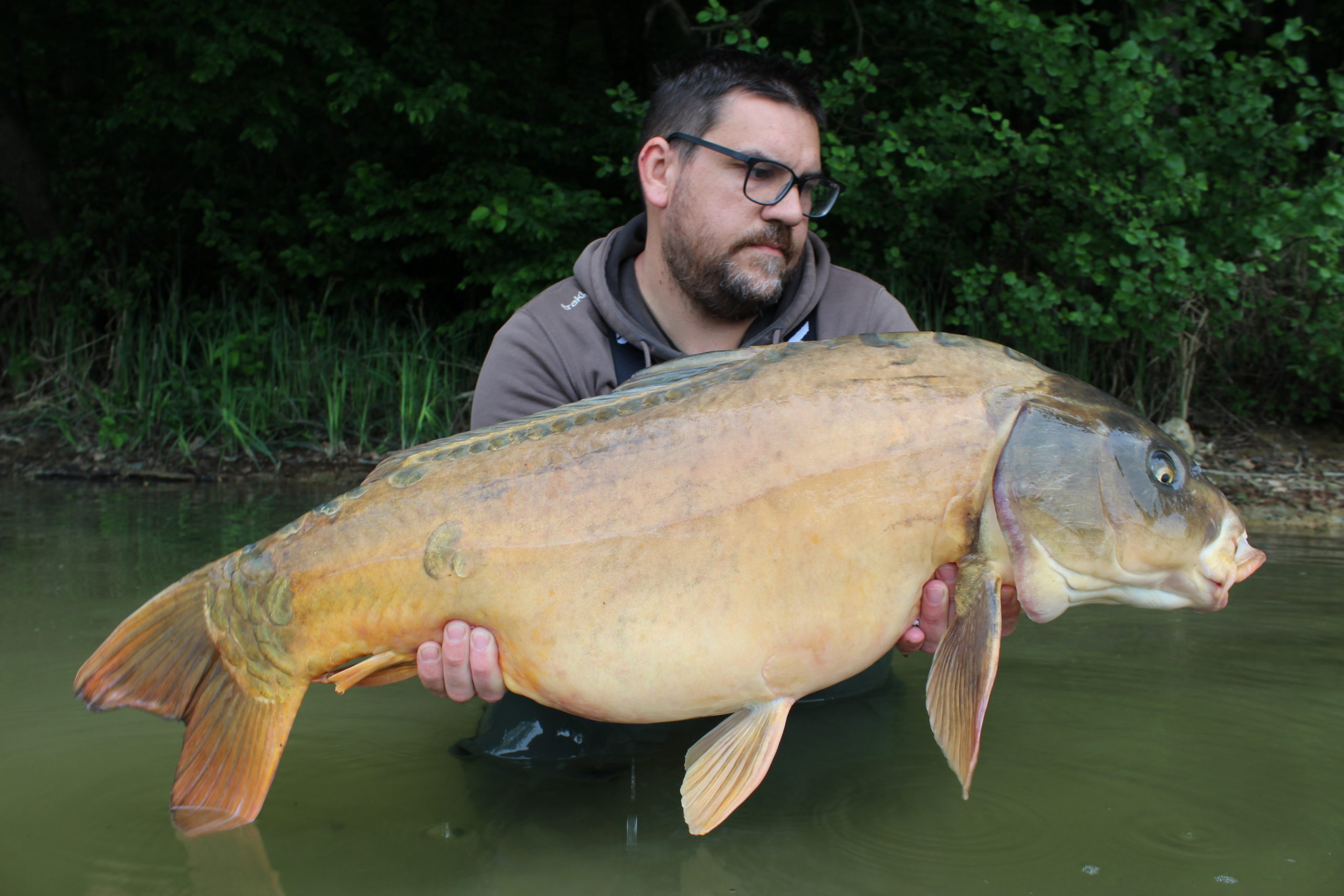 Peter Jezovnik fängt an einem der berühmten slowenischen Stauseen einen der ganz seltenen Koi-Spiegelkarpfen auf Dickenmittel Boilies.