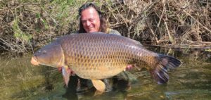 Frank schmitz fängt in der Sieg Karpfen bis über 20 Kilo auf Naturebaits Green Granada Boilies!