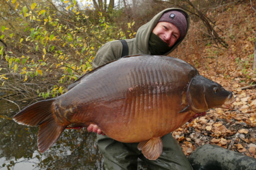 Chris Ackermann erzählt vom Karpfenangeln am Mary-&-Joe-Pool im Herbst 2018 mit Boilies von Naturebaits