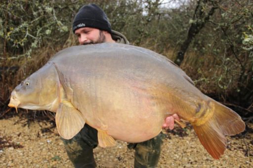 Romeo Eyl ist sehr erfolgreich beim Karpfenangeln in Frankreich. Dieser große Spiegelkarpfen biss im Herbst in einem Stausee auf Dickenmittel 2.0 Boilies