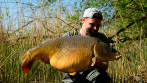 Benjamin Kessenich mir Spiegelkarpfen im Frühling, gefangen auf WSC Boilies von Naturebaits
