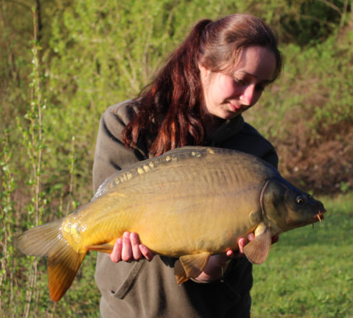 Alina Hilgers mit Spiegelkarpfen, gefangen beim Karpfenangeln auf Yellow Scopex Boilie von Naturebaits
