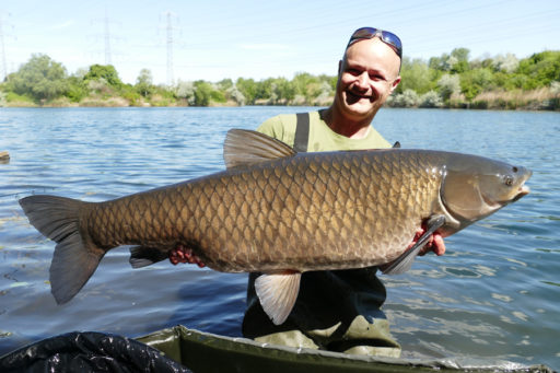 Chris Ackermann mit großem Graskarpfen, gefangen mit Yellow Scopex Boilies von Naturebaits