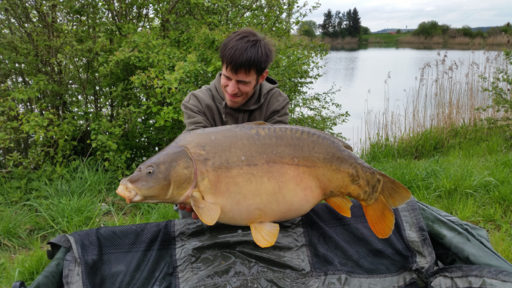 Thomas Ilg erfolgreich beim Karpfenangeln mit Boilies von Naturebaits