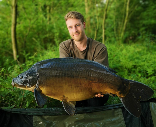 Dennis Rau fängt auf Naturebaits Dickenmittel 2.0 Boilies konstant Karpfen und auch mal einen Wels