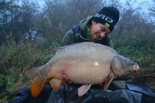 Marco Beck, Teamangler bei MAD und Naturebaits, mit einem schönen Spiegelkarpfen, gefangen im Herbst auf Boilies von Naturebaits