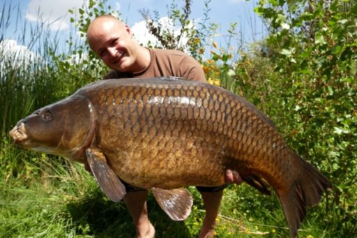 Chris Ackermann mit über 20 Kilo schweren Schuppenkarpfen gefangen auf Naturebaits Boilies