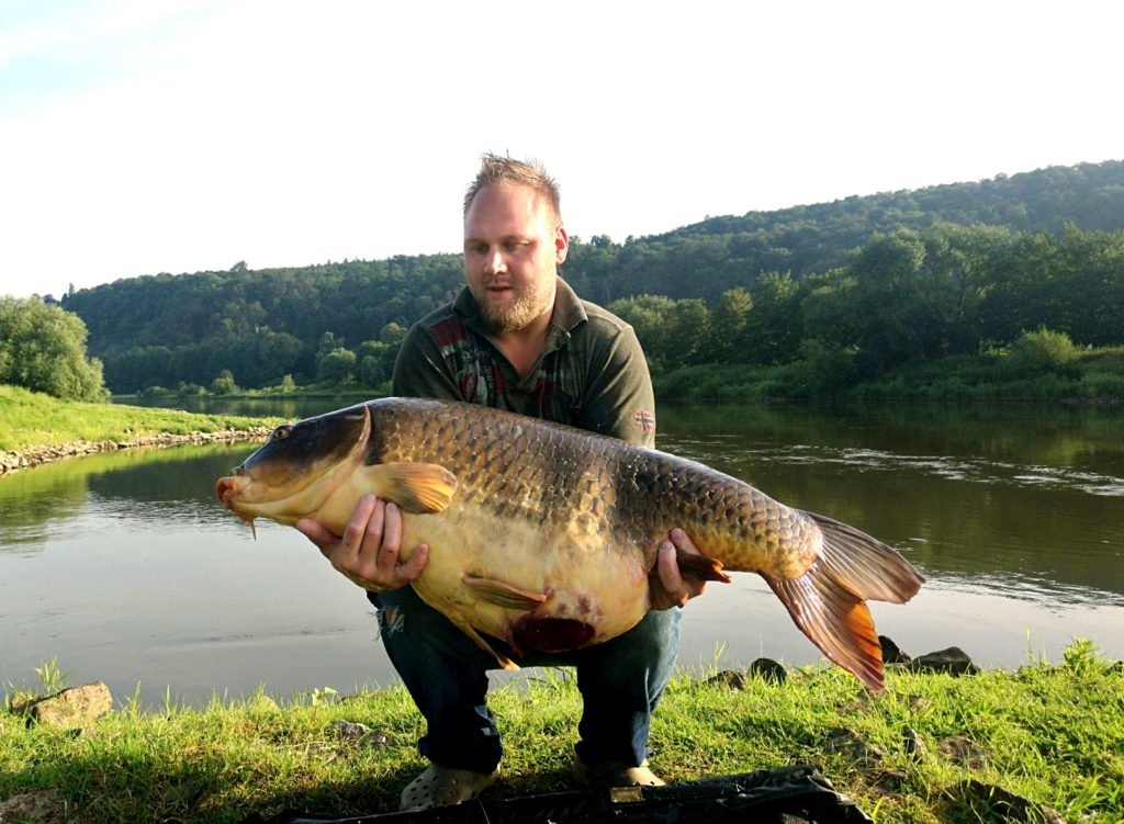 Marcel Bartelt mit großem Schuppenkarpfen über 25 Kilo schwer - gefangen im Fluss auf P-Mix Boilies von Naturebaits