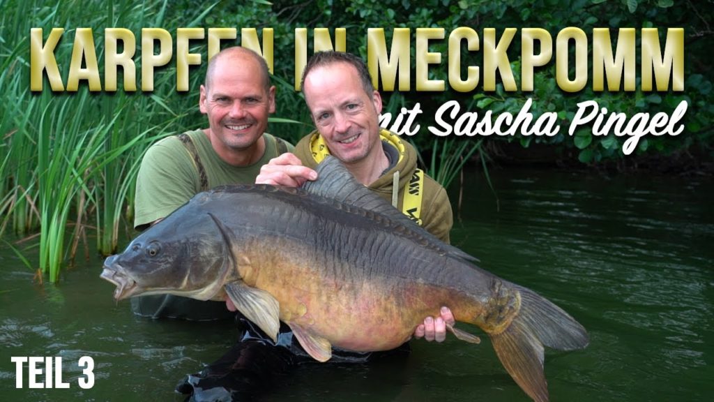 Naturebaits Video "Karpfen in MECKPOMM Teil 3 ist online - Jan Brauns und Sascha Pingel angeln im Sommer am Natursee mit Boilies auf Karpfen
