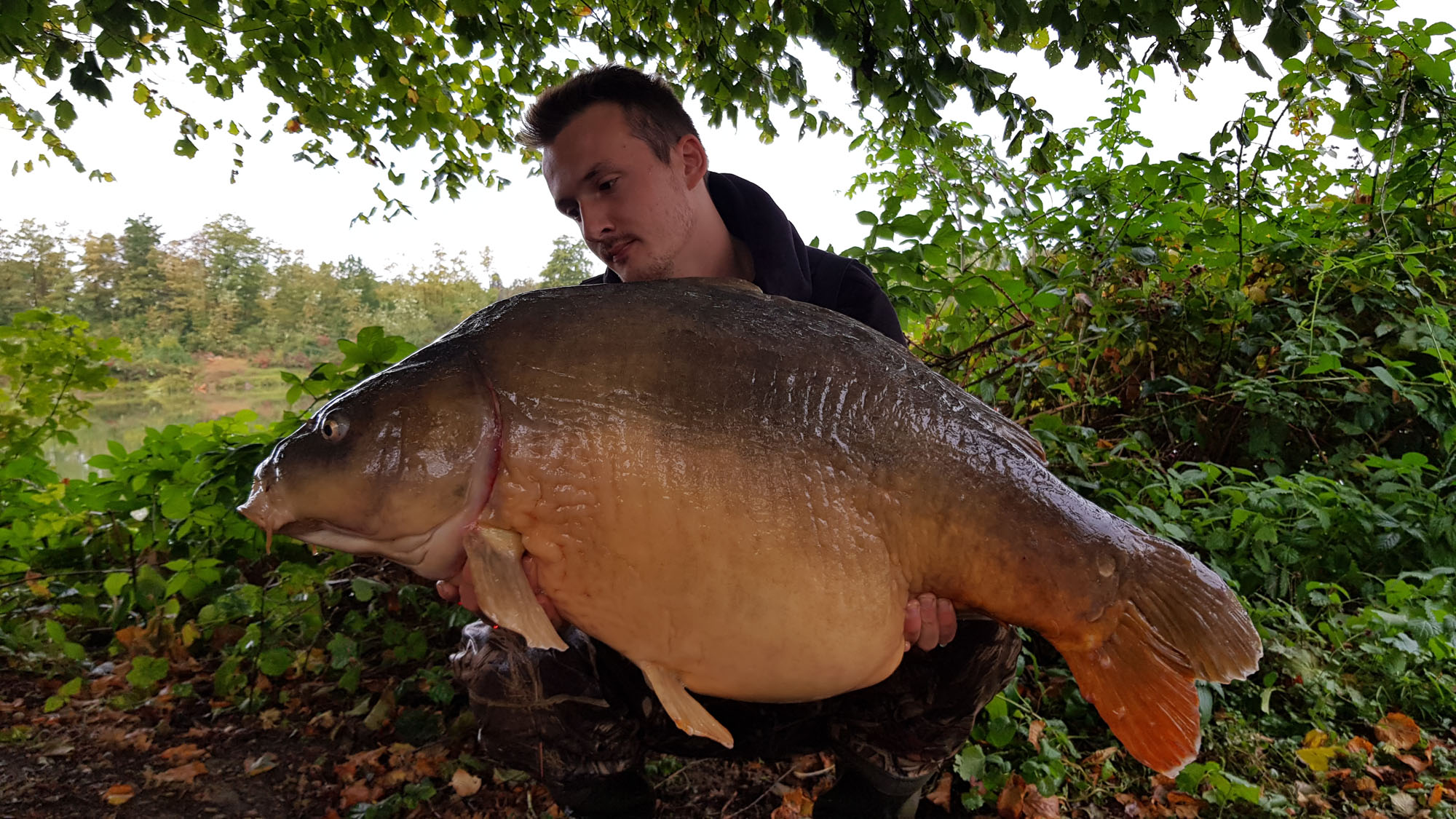 Hendrik Wohlgefahrt fängt große Karpfen mit Tuna Sc Boilies von Naturebaits beim Karpfenangeln in Nordrhein-Westfalen.