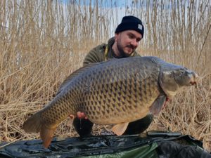 Sebastian Brandt mit großem Schuppenkarpfen aus Sachsen-Anhalt gefangen auf Graf Cocs Boilies