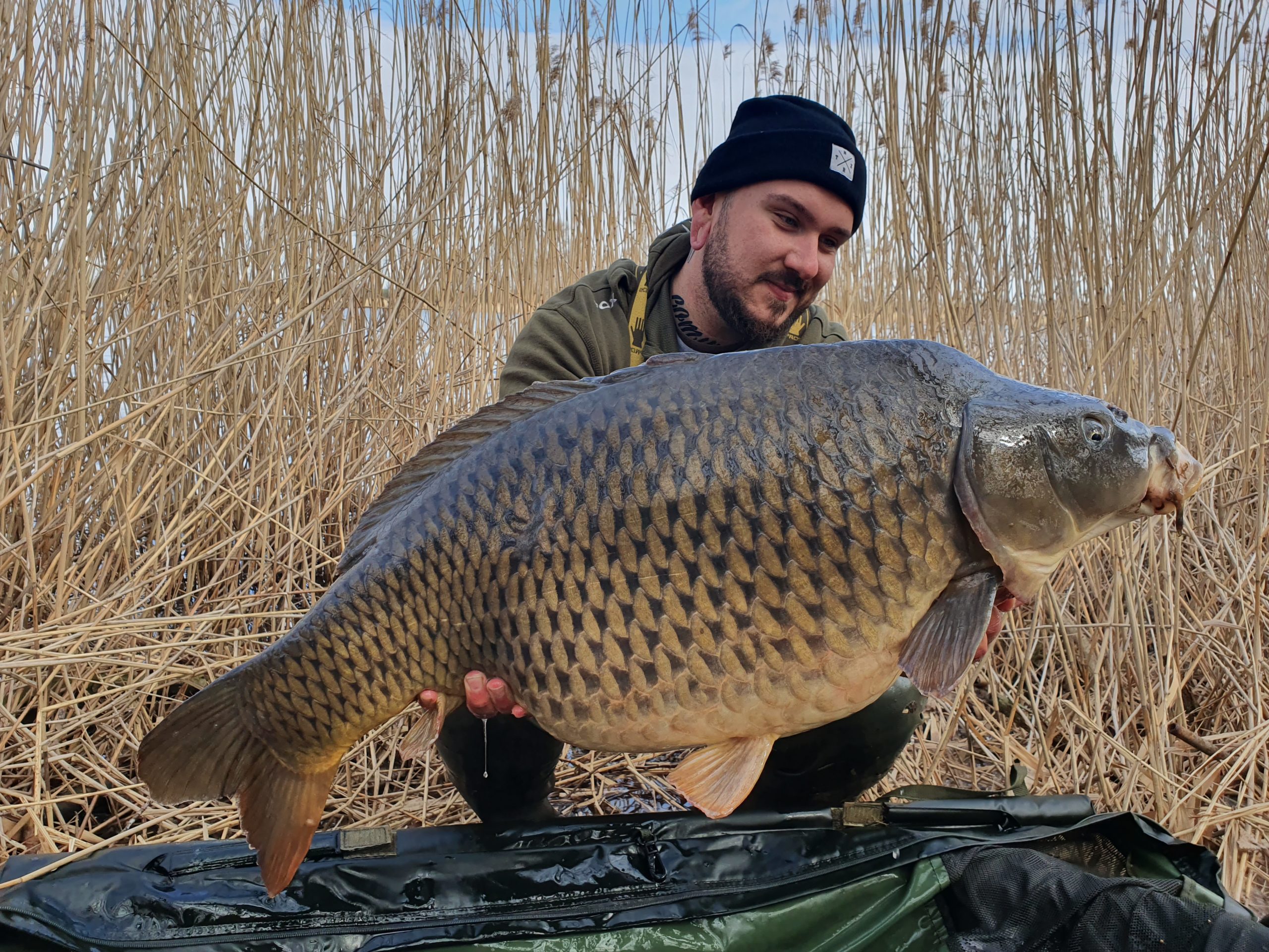 Sebastian Brandt mit großem Schuppenkarpfen aus Sachsen-Anhalt gefangen auf Graf Cocs Boilies