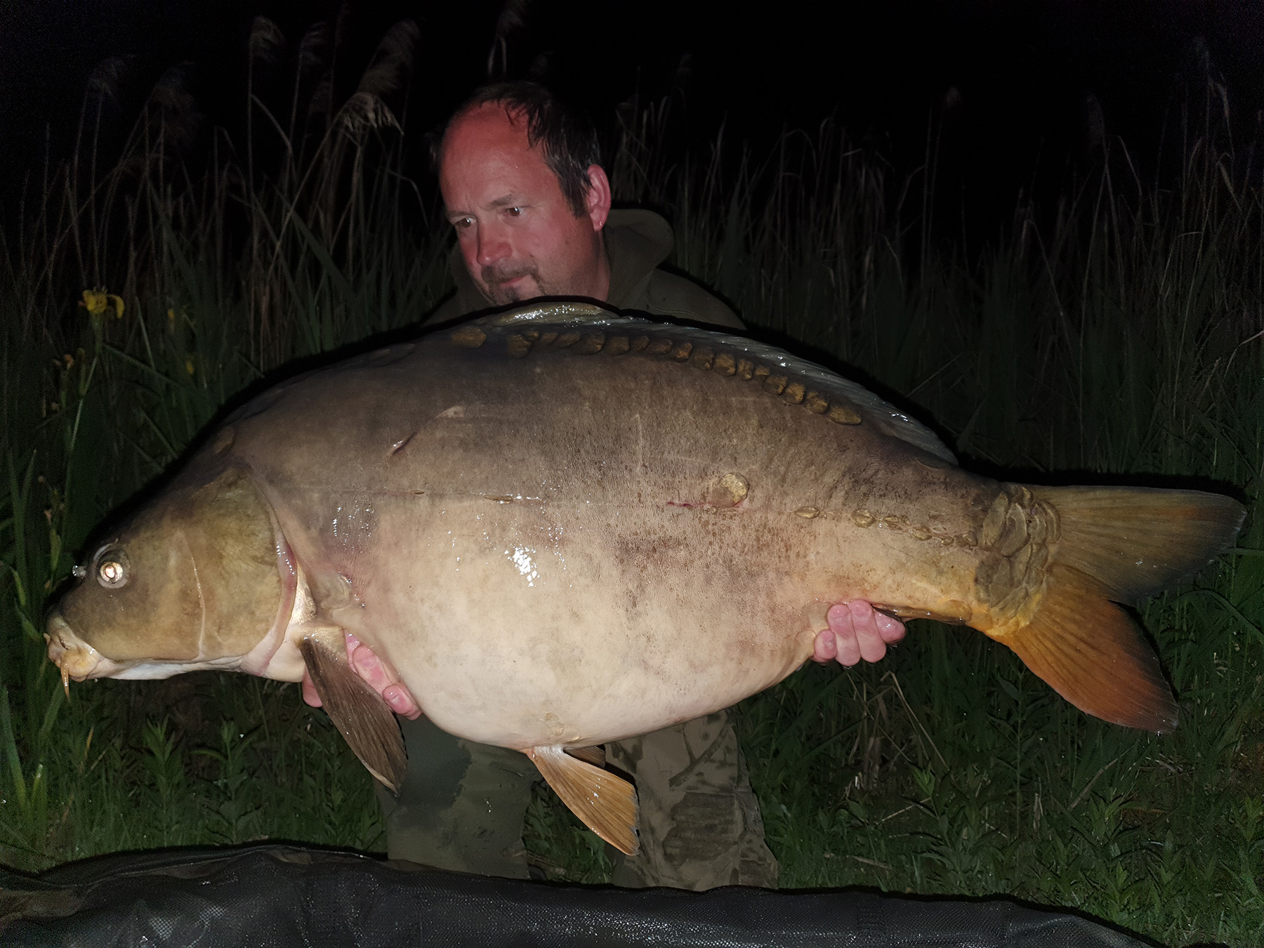 Patrick Dorner fängt in Österreich beim Karpfenangeln sensationelle Karpfen mit Fresh n' Squid Boilies von Naturebaits