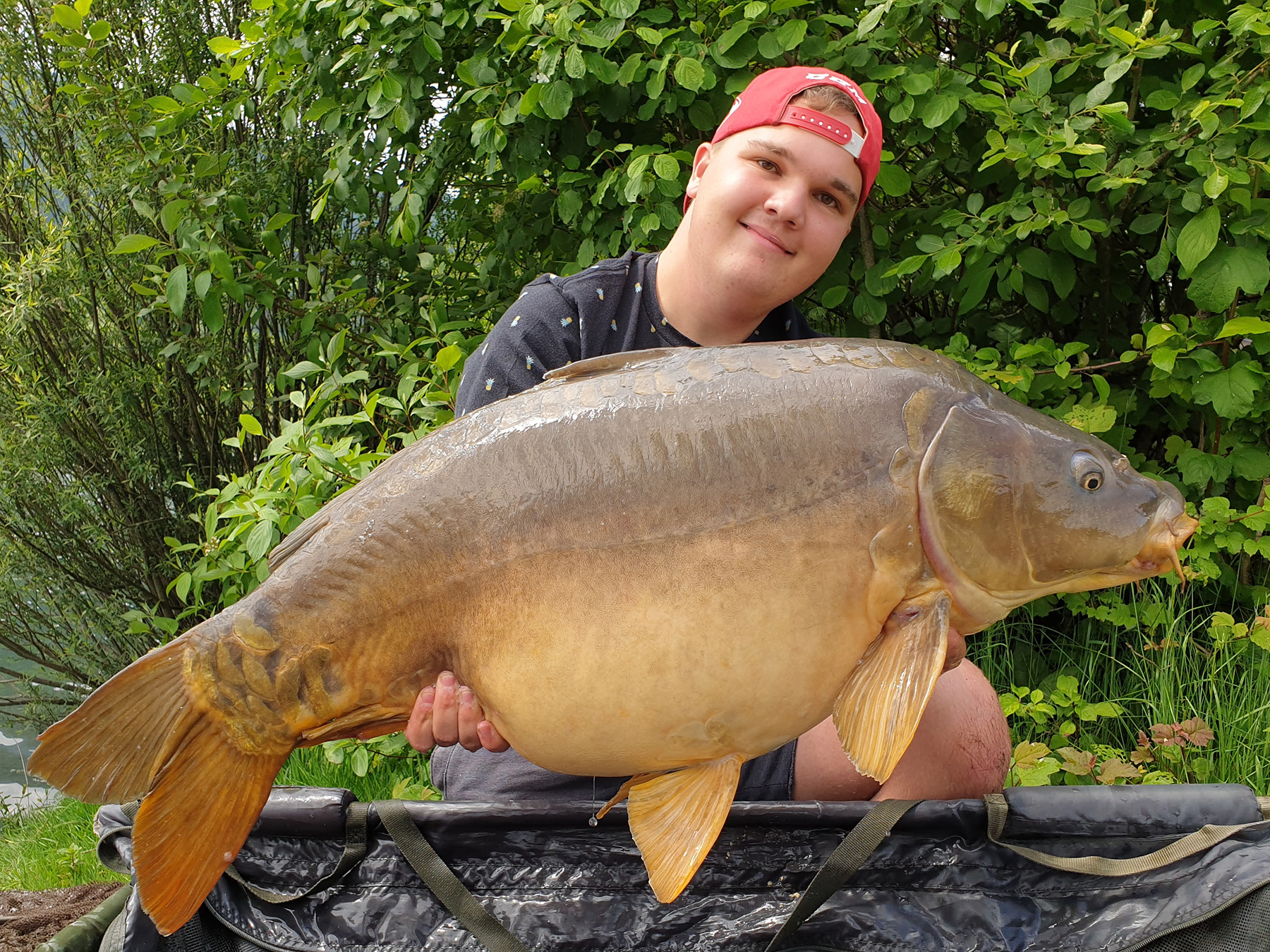 Matthias Hornbak fängt instant viele große Karpfen beim Karpfenangeln auf GLM Boilies