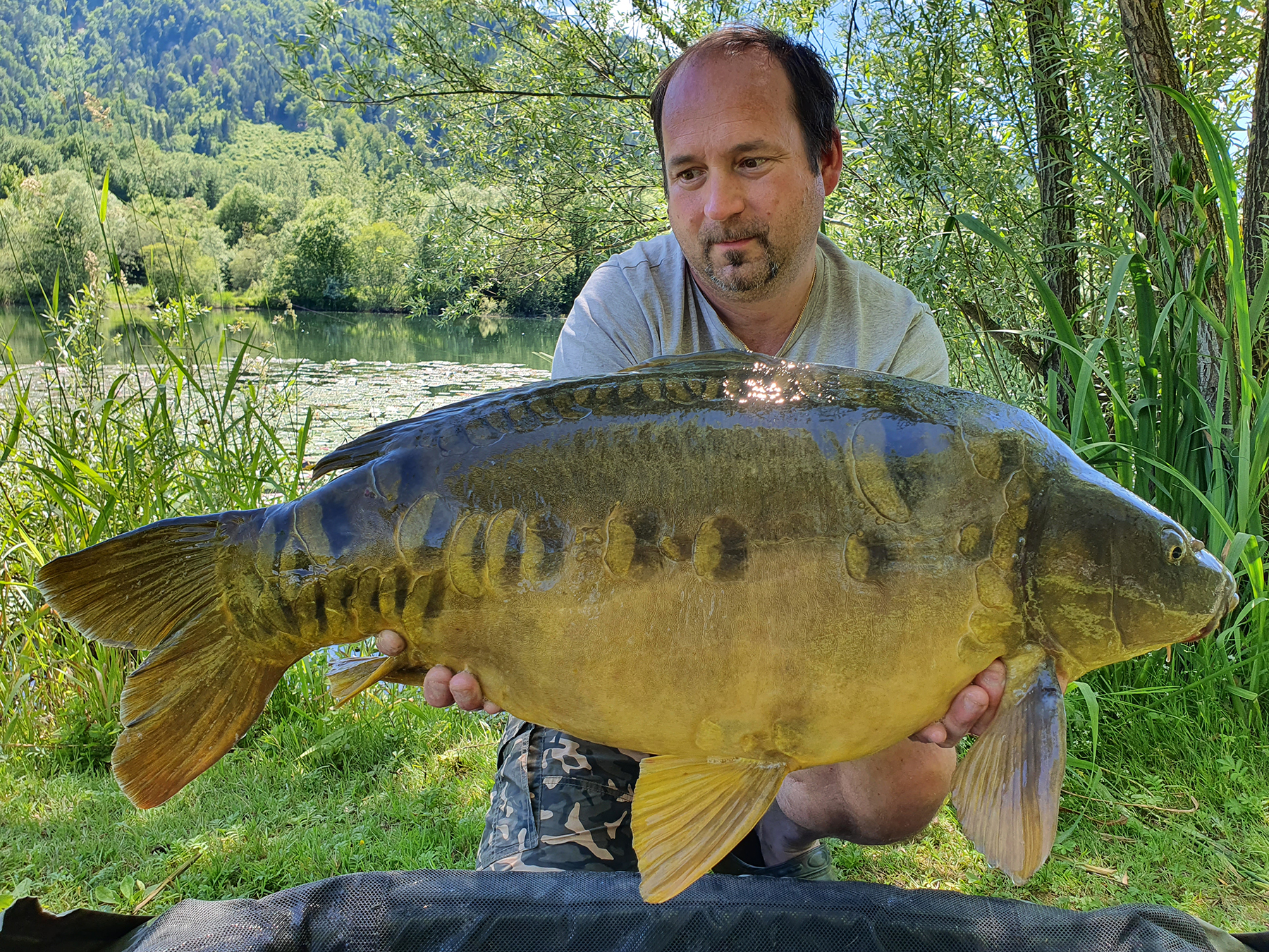 Patrick Dorner fängt vor herrlicher Bergkulisse tolle Karpfen in Kärnten in Österreich auf Fermented Banana Boilies von Naturebaits