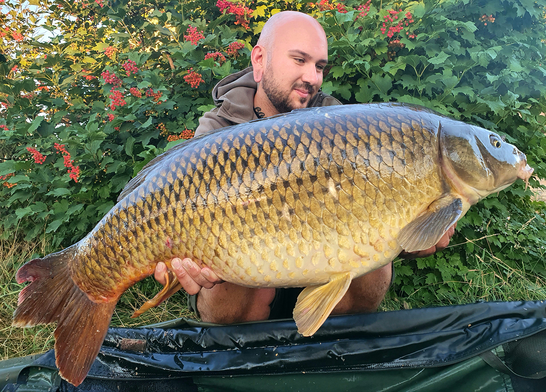 Sebastian Brandt fängt im Mittellandkanal in Sachsen-Anhalt immer wieder dicke Karpfen auf P-Mix Boilies von Naturebaits