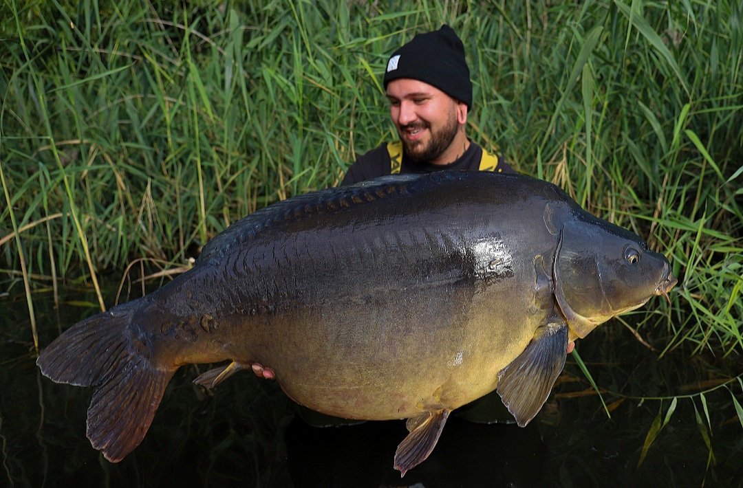 Sebastian Brandt fängt in Sachsen-Anhalt einen absoluten Urfisch mit gut über 27 Kilo auf P-Mix Boilies