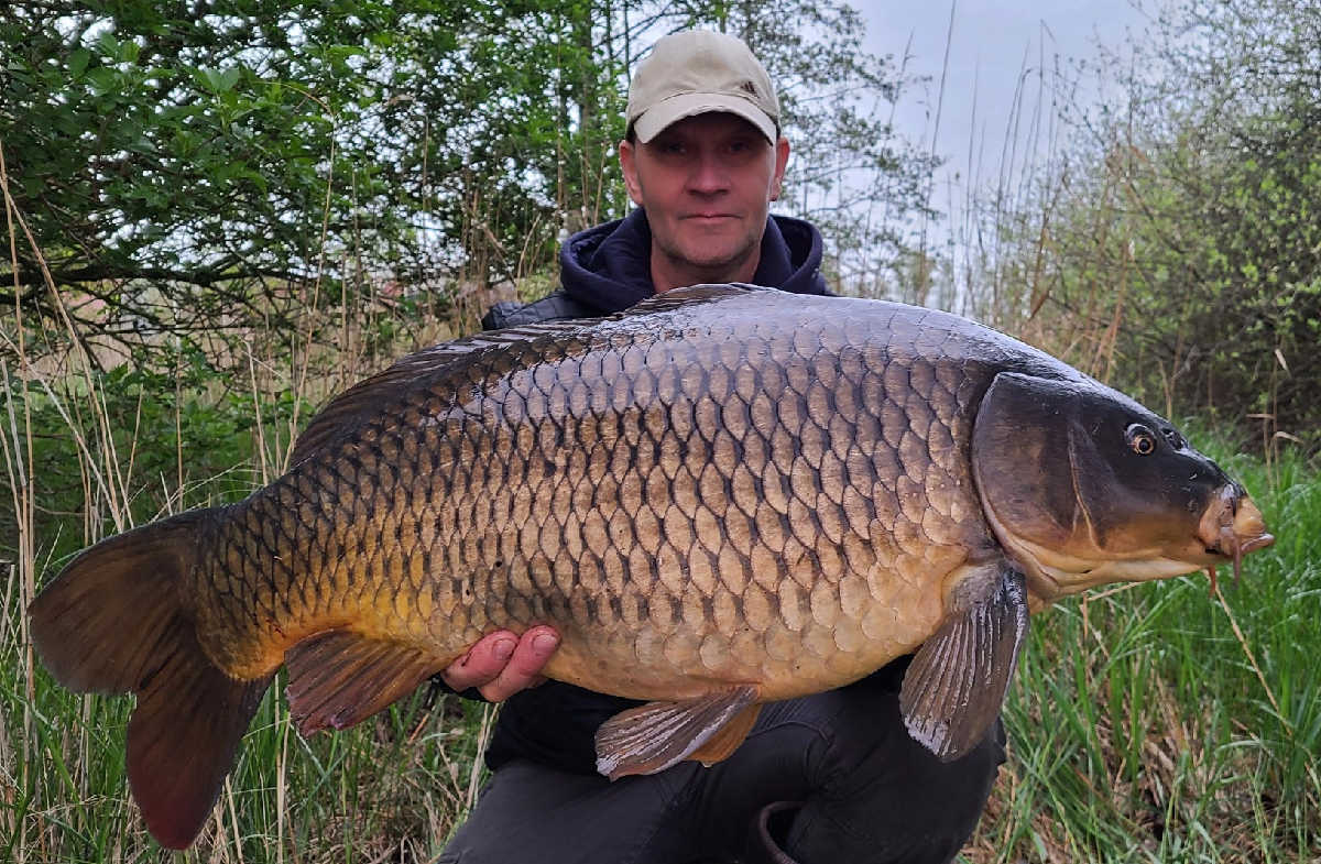 20250424 201946 Copy 1630x1066