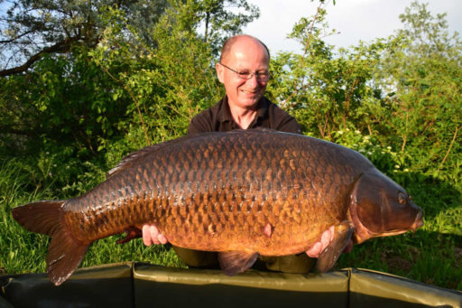 23 Kg Schuppenkarpfen für Andi