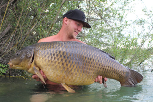 Steve Graf fängt in Österreich tolle Karpfen mit GLM Boilies von Naturebaits