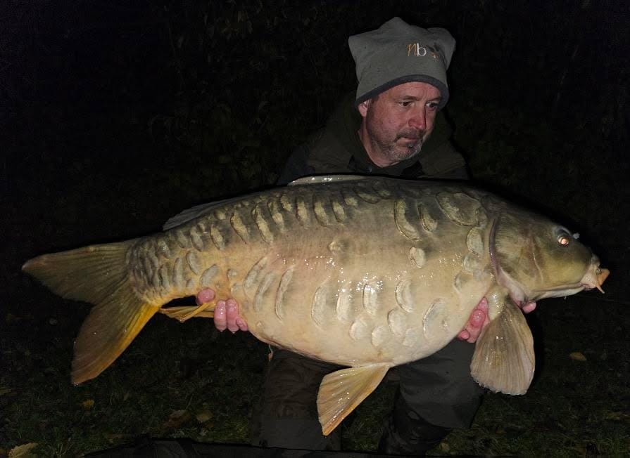 2c95d98f E391 4c2b B4d9 A2dfa3b98132