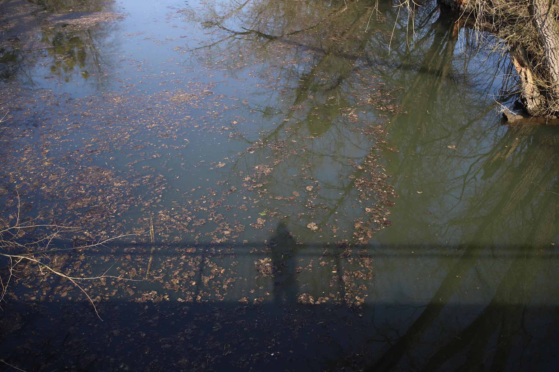 VOLKANOS Jahresrückblick - Teil 1: vom Jäger zum Gejagten