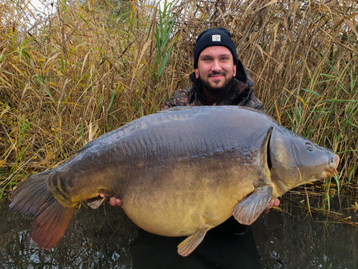 Sebastian Brandt angelt im Herbst sehr erfolgreich in Sachsen-Anhalt auf große Karpfen mit Dickenmittel 2.0 Boilies