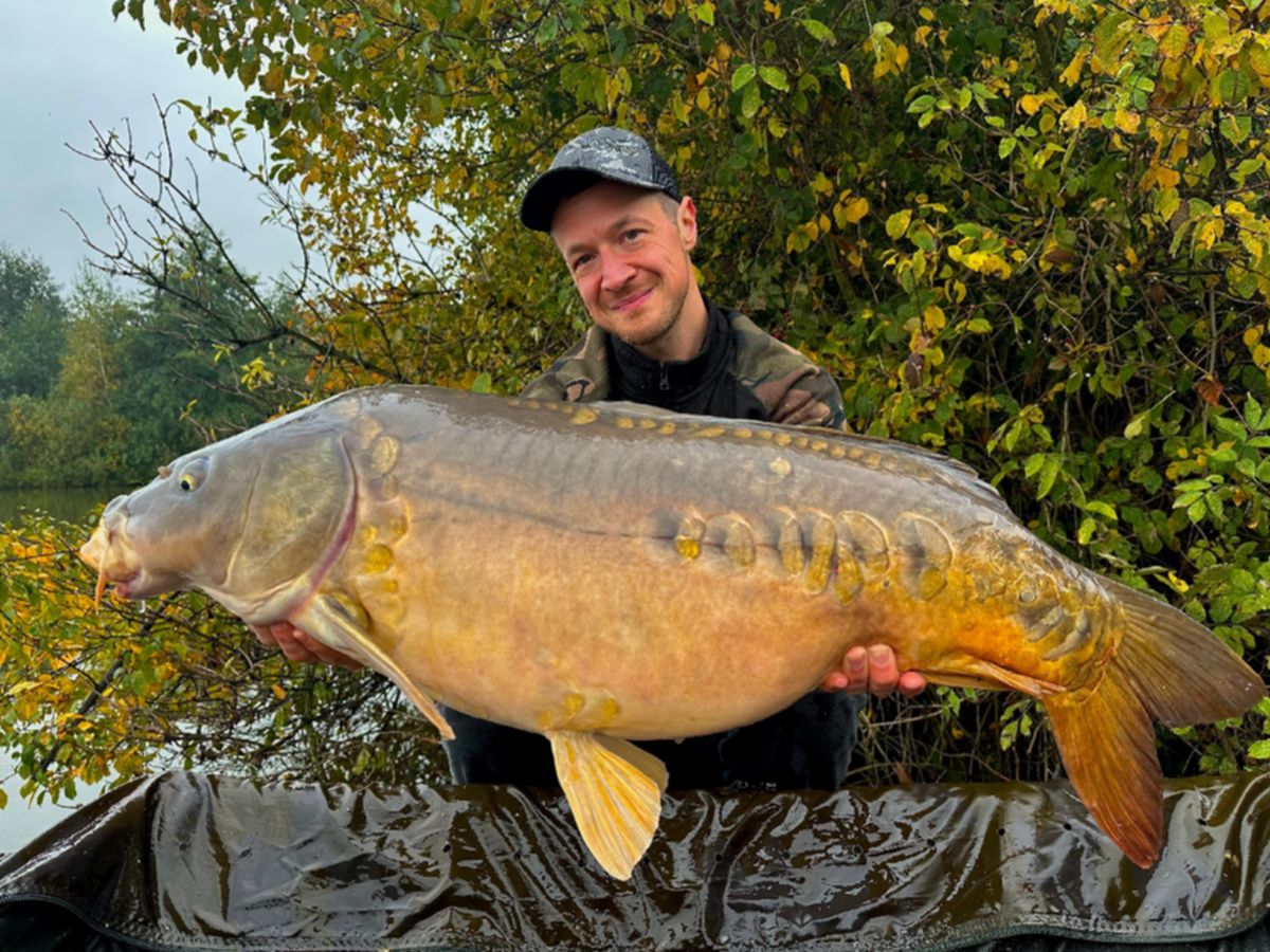 4ba32c03 622c 4b7e B7c4 2856b4ed2d86