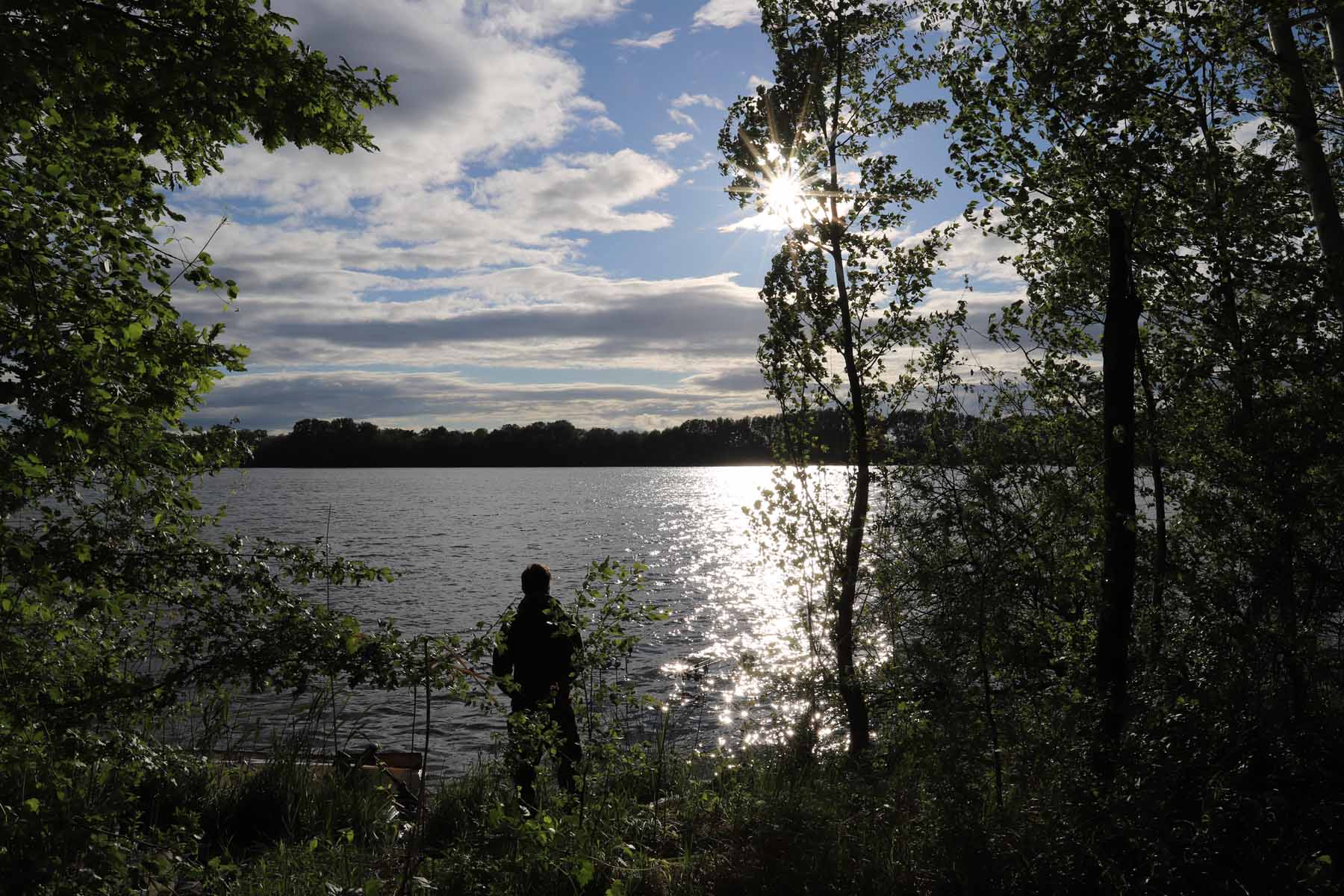 VOLKANOS Jahresrückblick - Teil 2: Ich sehe was, was Du nicht siehst