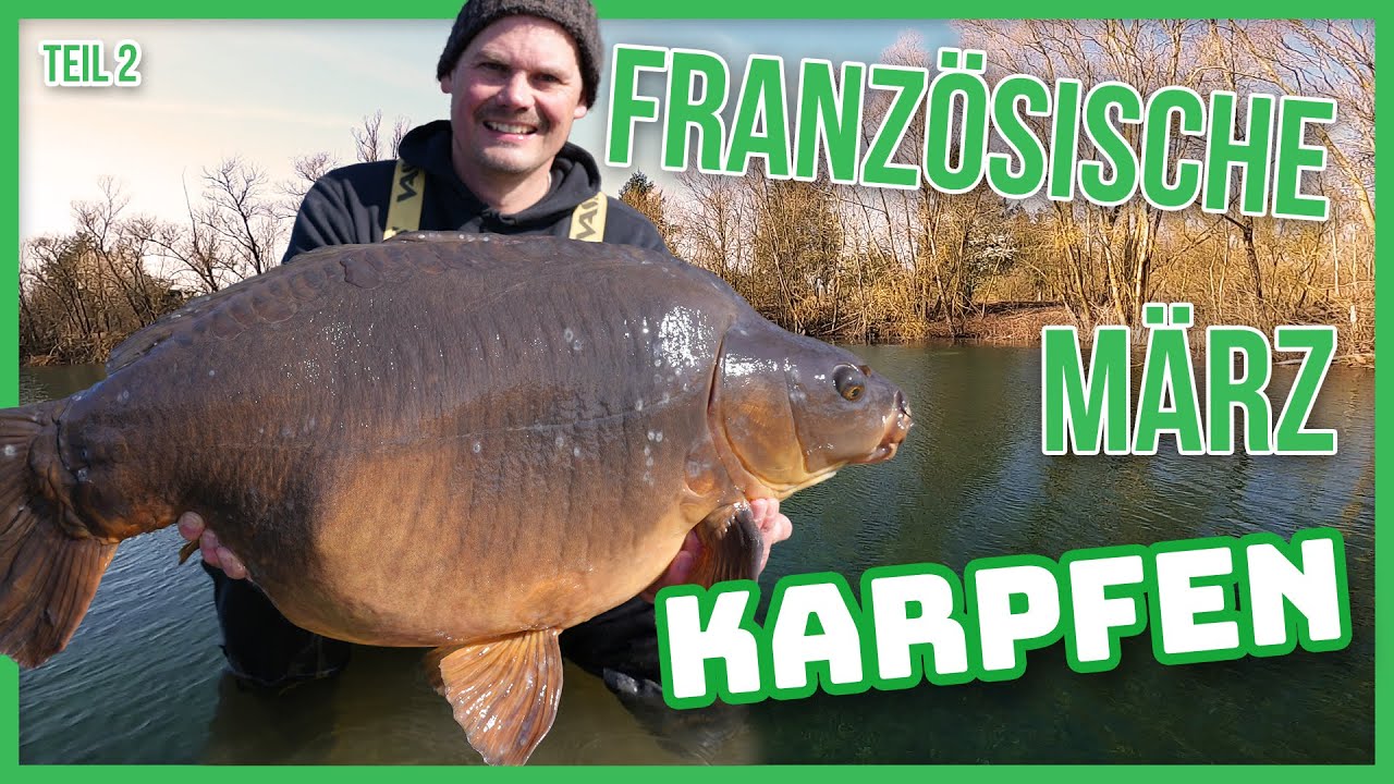 76bb84fa 1371 4fd8 9a2c D5d767cb150f