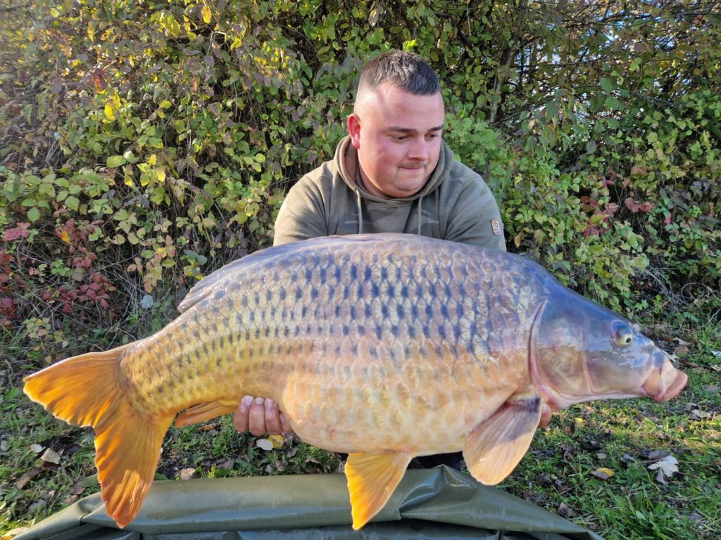 84ecb5a0 359e 42bc 8dbc Ab472b9b03cd