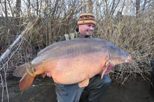 Jan Brauns erklärt den Weg zum Schneekarpfen - mit Boilieteig, Liquid, Paster und Bait Attractor von Naturebaits