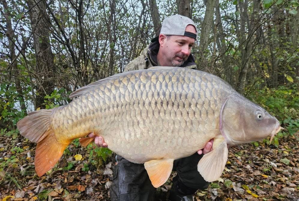 94e19aef 98b9 487d B843 5eee59783107