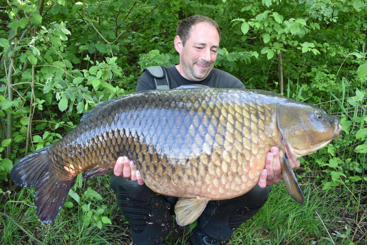 Aufmacher F. Reichstein