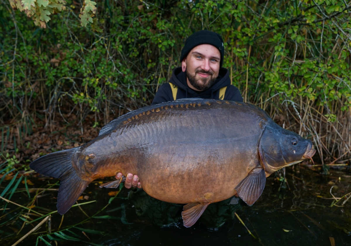 Aufmacher Herbst 2022 Brandt