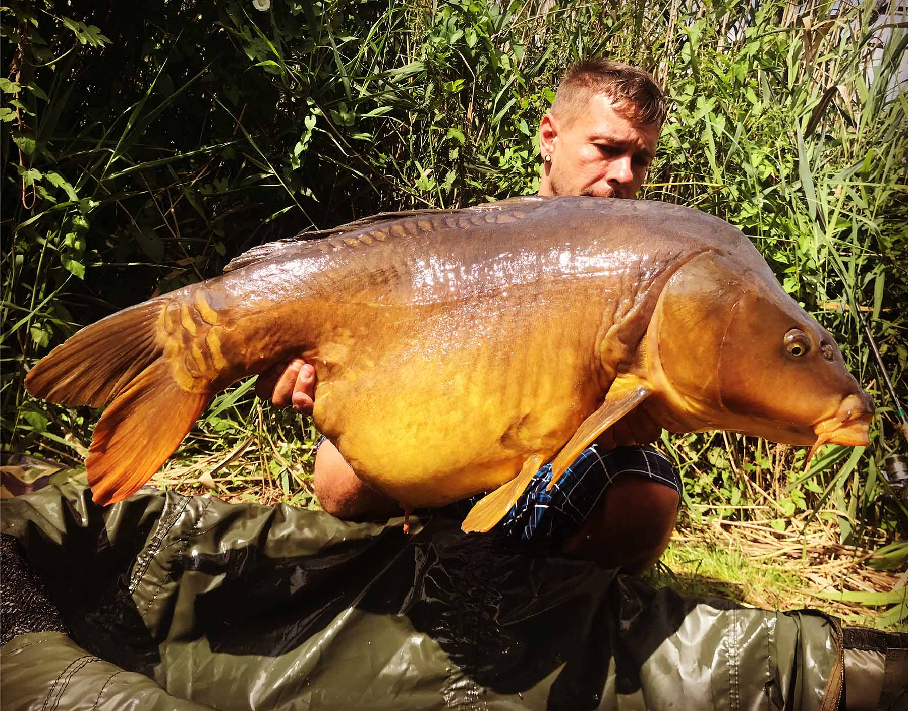 Maik Reisinger fängt großen Spiegelkarpfen auf GLM Boilies von Naturebaits