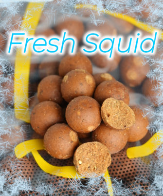 Banner Startseite Fresh Squid