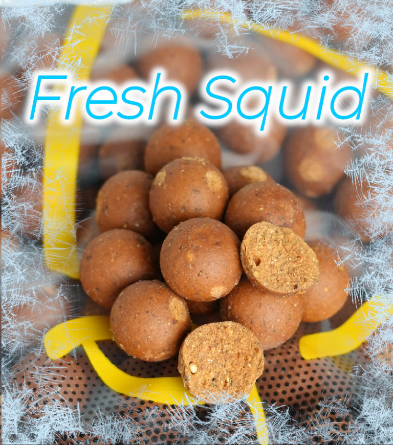 Banner Startseite Fresh Squid