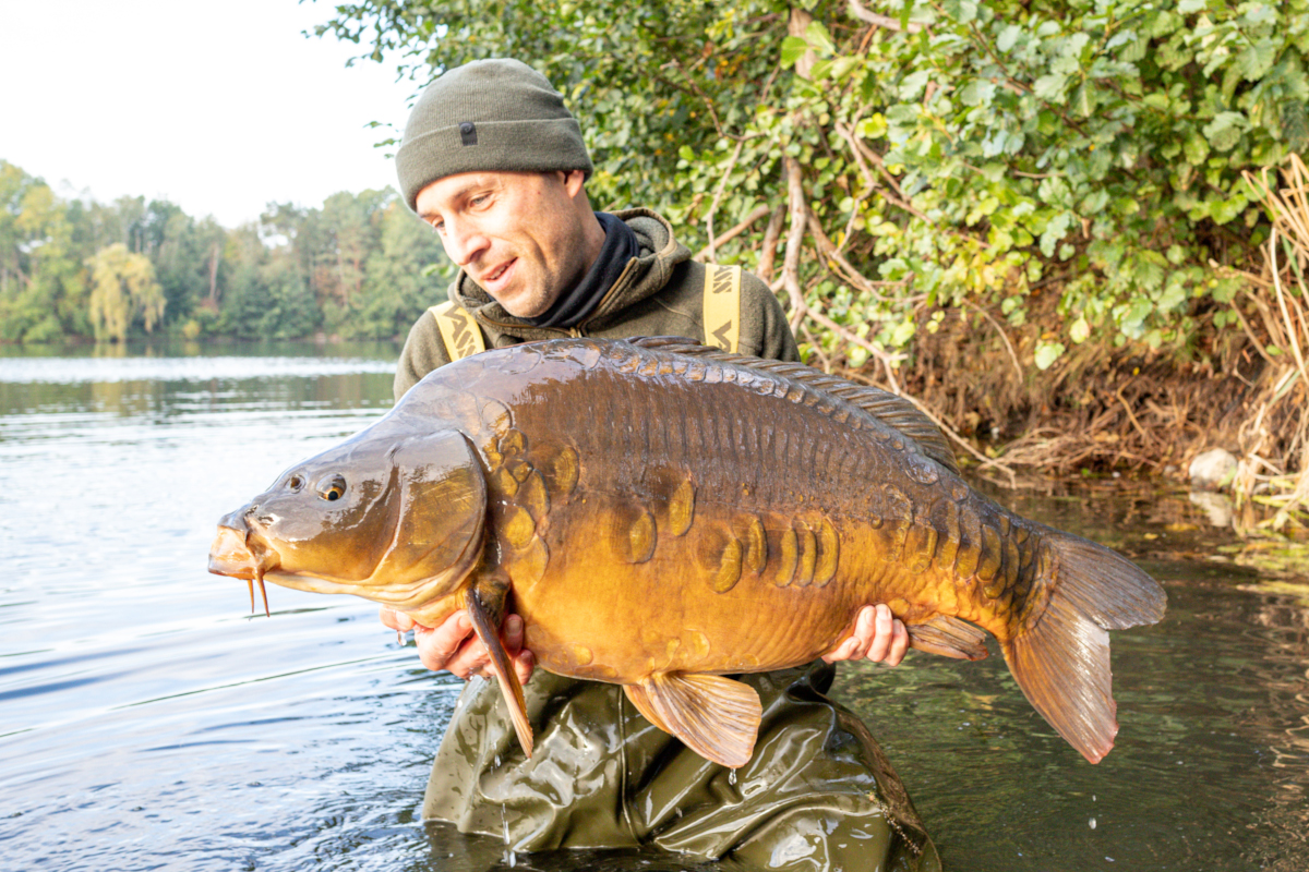 Beauty Philipp Magenheimer