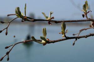 Berichte-2013 april heinze 7