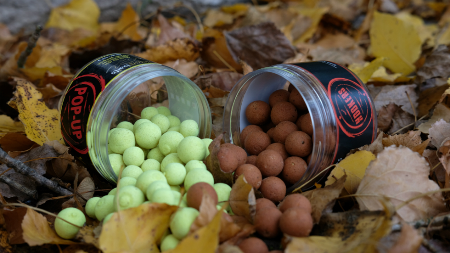 Benjamin Kessenich berichtet vom Karpfenangeln im Herbst mit Dickenmittel 2.0 und WSC Boilies von Naturebaits an einem Kölner Baggersee.