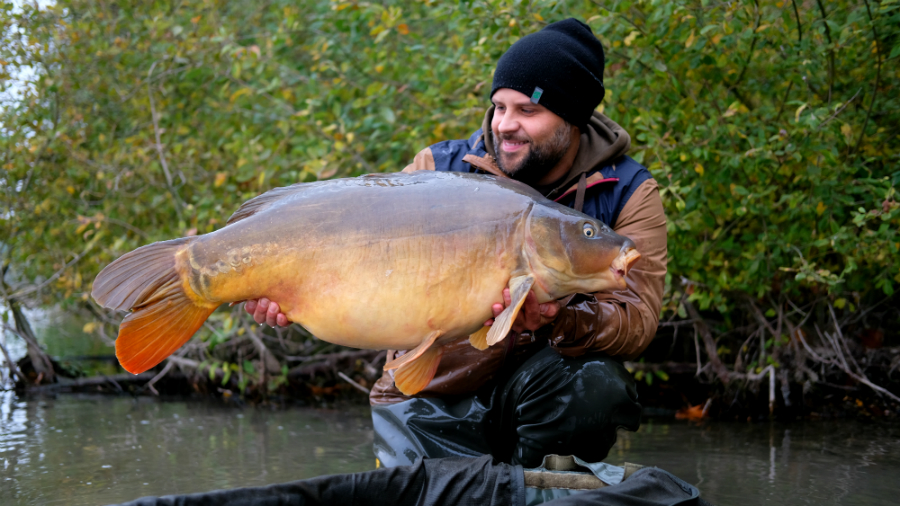 Benjamin Kessenich berichtet vom Karpfenangeln im Herbst mit Dickenmittel 2.0 und WSC Boilies von Naturebaits an einem Kölner Baggersee.