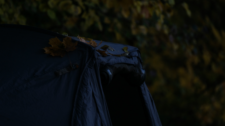 Benjamin Kessenich berichtet vom Karpfenangeln im Herbst mit Dickenmittel 2.0 und WSC Boilies von Naturebaits an einem Kölner Baggersee.