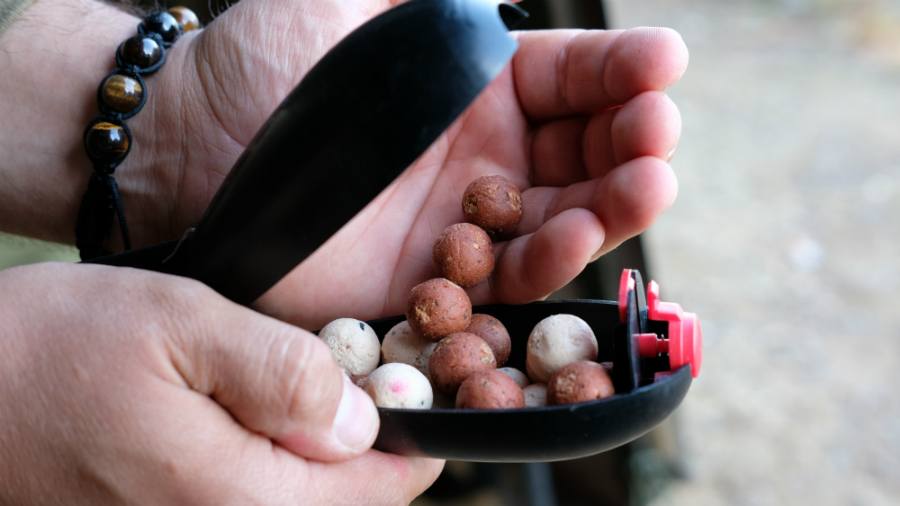 Benjamin Kessenich berichtet vom Karpfenangeln im Herbst mit Dickenmittel 2.0 und WSC Boilies von Naturebaits an einem Kölner Baggersee.