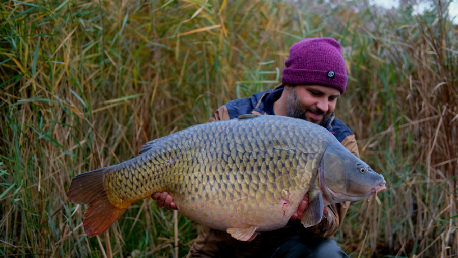 Benjamin Kessenich berichtet vom Karpfenangeln im Herbst mit Dickenmittel 2.0 und WSC Boilies von Naturebaits an einem Kölner Baggersee.