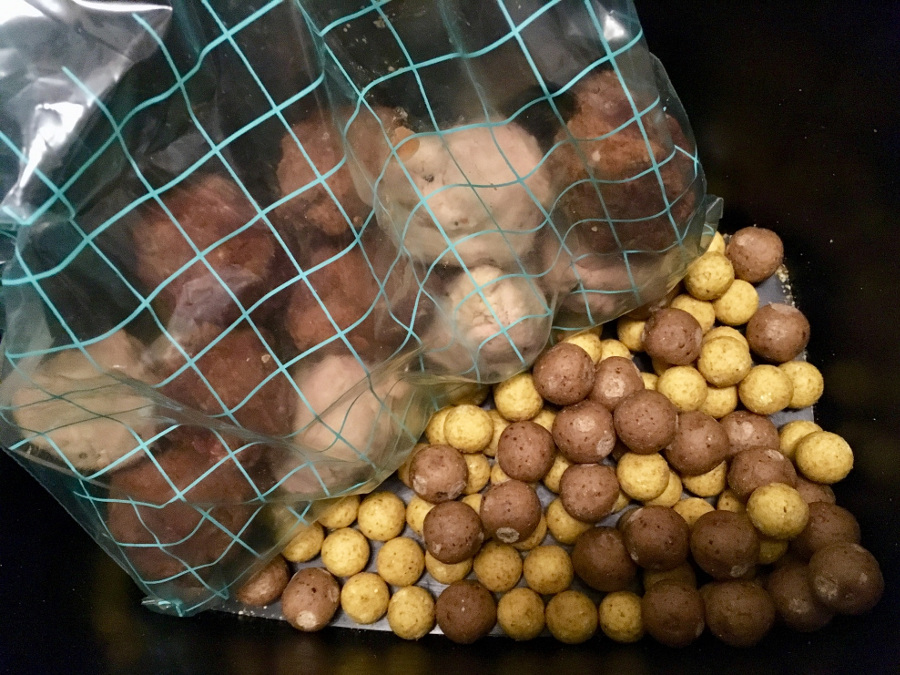 Philipp Magenheimer angelt im Winter erfolgreich auf Karpfen mit dem Paster von Naturebaits