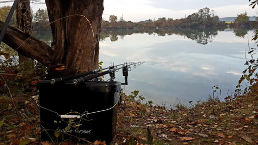 Thomas Ilg erklärt, wie er im Winter, innerhalb weniger Stunden mehrere Karpfen an den Haken bekommt.